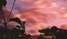 对生活和感情失望的句子