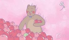 感恩一起走过的日子的句子