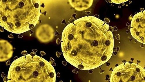 必须准备好蒸锅