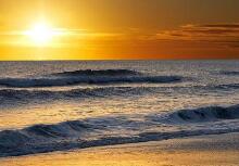 我姐姐也是我们值得信赖的人