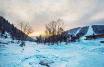 一个人最可悲的事情不是放弃