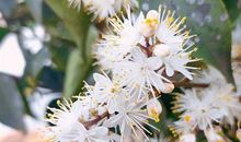 阳光明媚春暖花开的说说