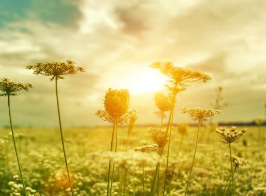 所有的人和事都有自己的良心