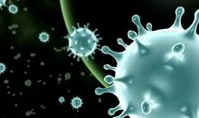 新型冠状性肺炎防控标语