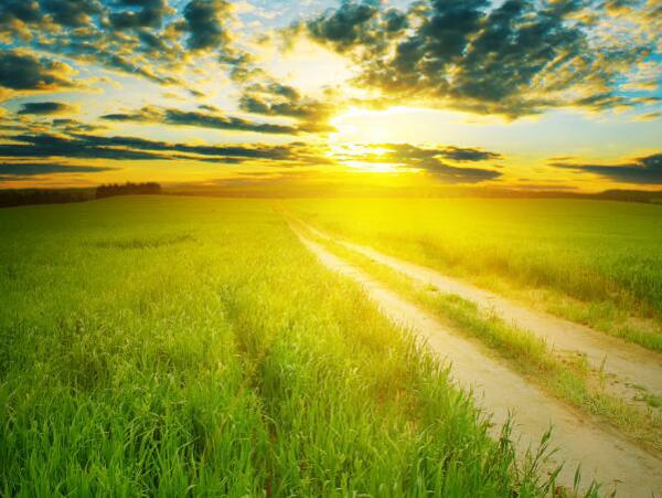 而不是您自己的良心