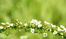 春天来了正能量的朋友圈说说