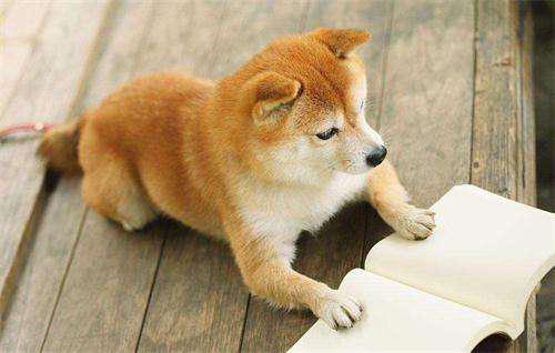 我编了一些有关使别人开心的句子