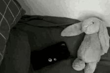 以下是每个人为我失望的每个人编写的一句话