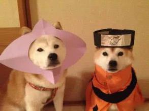 希望每个人都喜欢 1