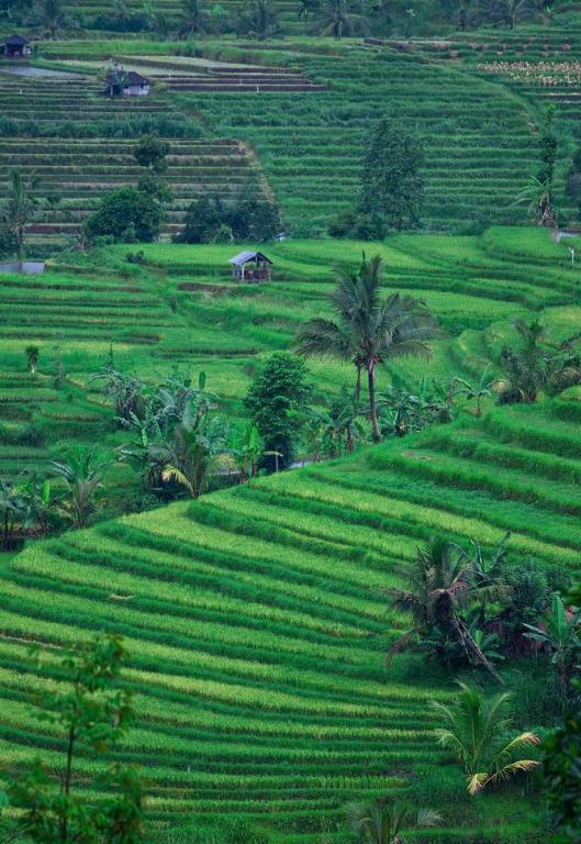 我将攀登顶级演奏