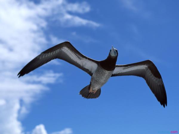 希望大家都能喜欢