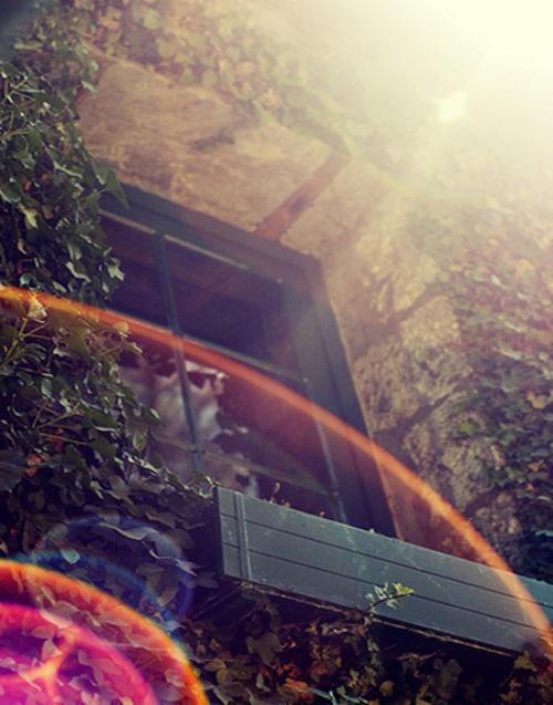 编辑器编辑了一些莫名其妙的快乐句子