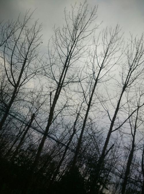 这个生活场所不仅可以给每个人带来希望