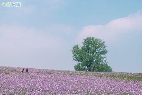 我没有为你受苦