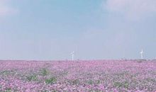 非常受欢迎的爱情语录