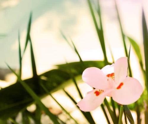 编辑整理了一些赞美家庭的句子