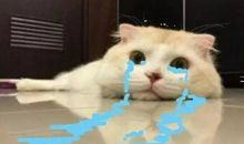 说不出口的心碎句子