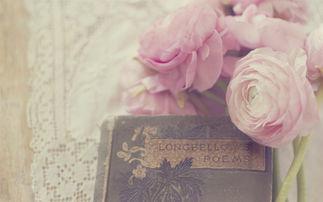 编辑编辑了一些讲述一个美丽家庭的句子