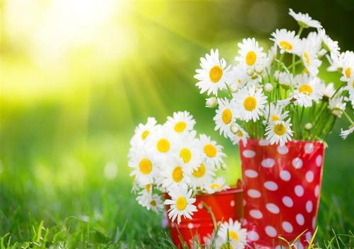 我整理了一些有关2019年幸福快乐的句子