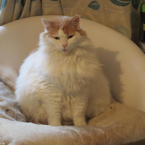 编辑编了一些关于这种不愉快心态的句子