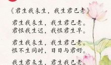 描写少女外貌的诗词