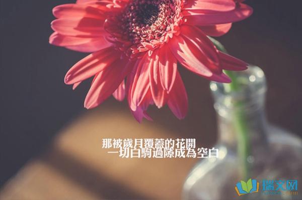 愿意为共同的目标而奋斗