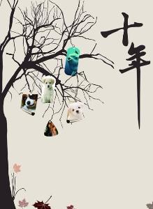    十年的抒情句子  1