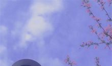 让人感动的句子关于亲情