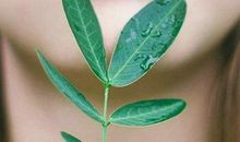 温馨家庭开心的句子