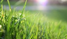 春天享受大自然气息的说说