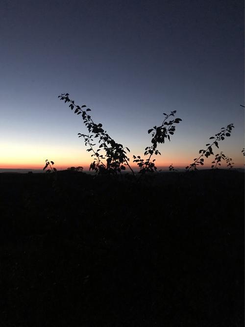 以下是由编辑编辑的一句话