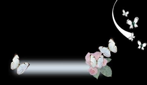 为了报告今年的春天