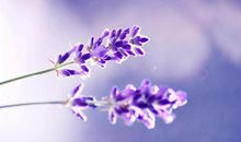 谁都不知道明天会发生什么说说