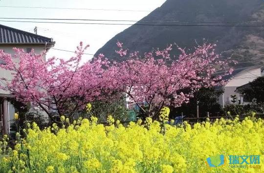 钱塔青是一个春游活动