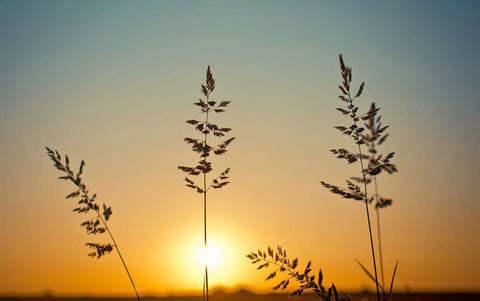 亲爱的谢谢您的红包