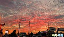 2020疫情作文金句 抗击疫情作文好句子