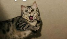 五一不能出去玩的说说