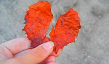 为家庭矛盾而烦恼的说说 表达难以处理家庭矛盾的说说