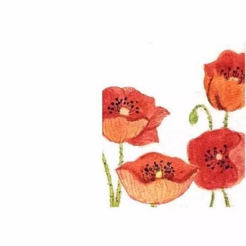 我相信我的心比爱早死了一步