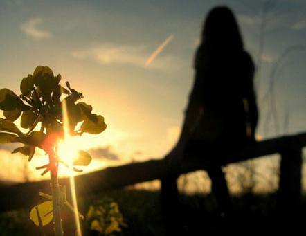 我总是盯着冉冉升起的太阳无家可归的悲痛