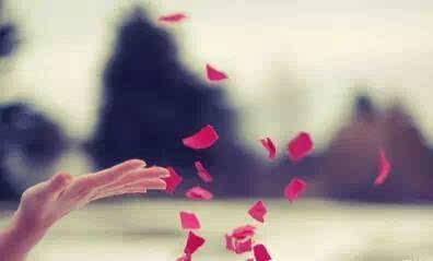 但有时也会带来失望