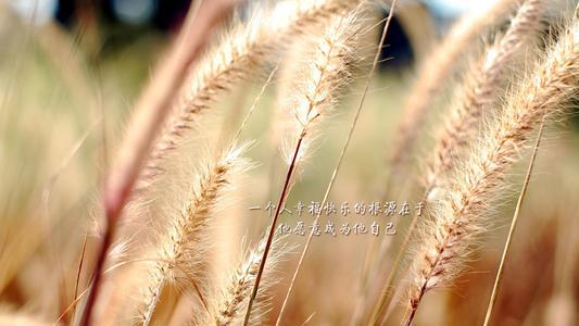 生活需要一点阳光才能激发灵感