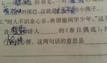 描写心情愉快的诗句