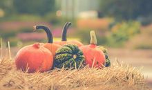 分手心碎的句子