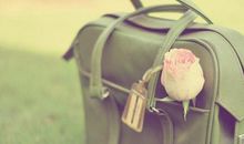 一个人对生活失望的句子说说心情短语