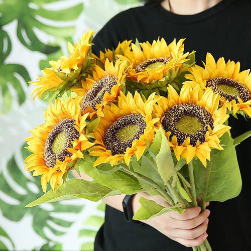 请享受编辑组织的优美而优美的句子