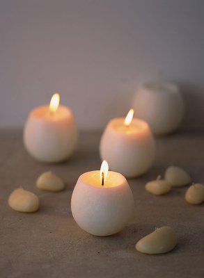 羊年的祝福迎来了阳光大道