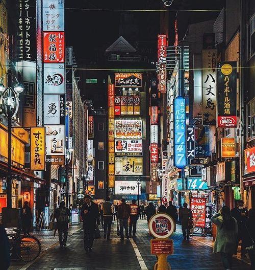 即使没有收获的希望