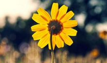 世界名著经典哲理语句