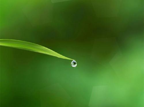 也可以安心地继续下去